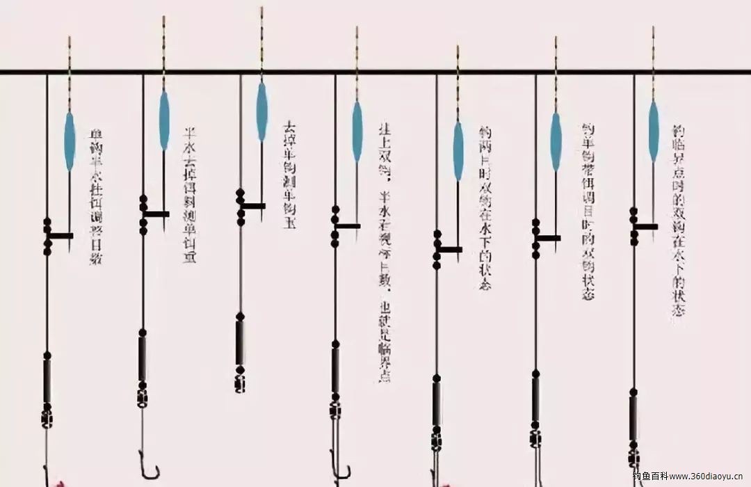 20年老钓友两句话总结 - 淡水钓鱼 - 钓鱼心得网